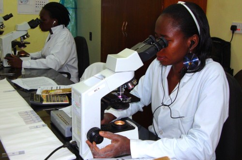 two women in white lab coats look into microscopes